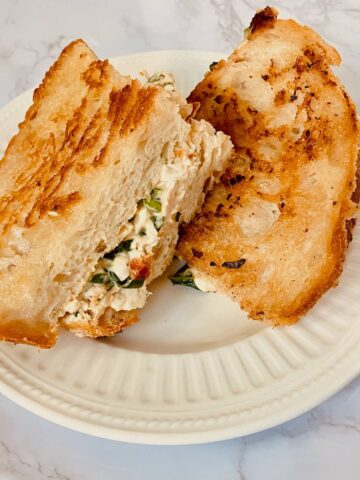 grilled cheese layered on a white plate